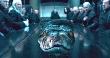 Harry Potter : une nouvelle race de serpent nommée en hommage à un personnage de la saga