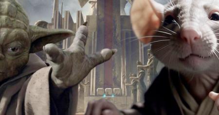 Star Wars : ces rats dignes de Jedi capables d’utiliser la Force