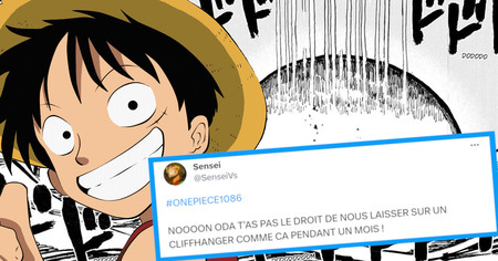 One Piece #1086 : le prochain chapitre fuite, une énorme révélation (16 tweets)