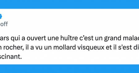 Top 15 des tweets les plus drôles de la semaine #486