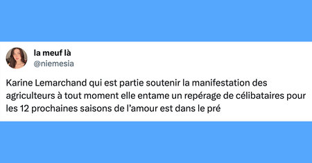 Le top 15 des tweets de la semaine #449