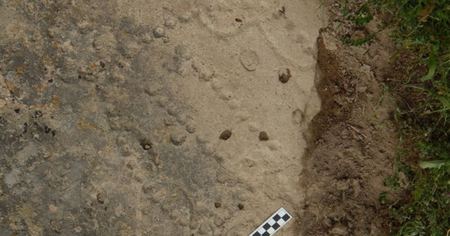 Un jeu de plateau vieux de 4000 ans découvert dans un abri de bergers datant de l'âge de bronze