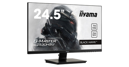 Une super affaire avec ce code promo sur cet écran gaming Iiyama G-Master de 24,5 pouces