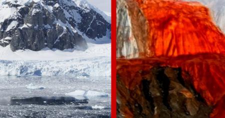 Les mystérieuses cascades de sang en Antarctique enfin expliquées par les chercheurs