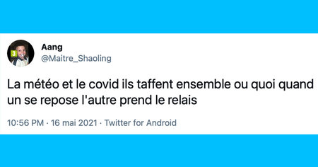 Le top 15 des tweets de la semaine #311