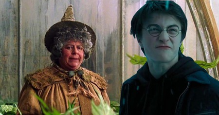 Harry Potter : l'actrice du Professeur Chourave tacle les fans de la saga