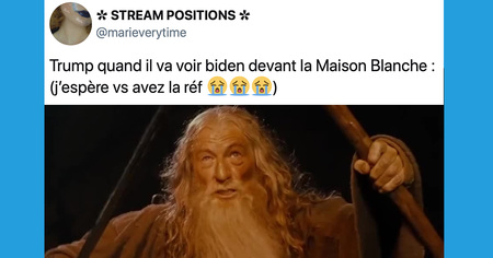 YOU'RE FIRED : le grand n'importe quoi des réseaux sociaux, en réaction à la défaite de Donald Trump !