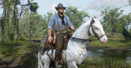 Red Dead Redemption 2 : lancement difficile truffé de bugs et de crash sur PC