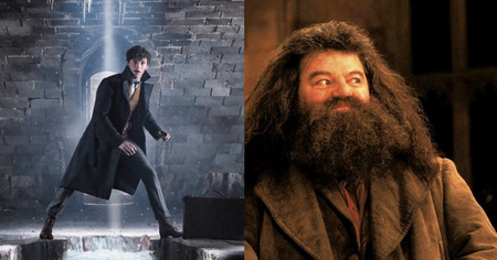 Les Animaux fantastiques 3 : une folle théorie impliquant Hagrid agite la toile