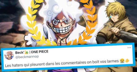 One Piece : Monkey D. Luffy gagne cette récompense, les fans sont divisés