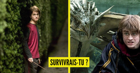 Test de personnalité Harry Potter : survivrais-tu au Tournoi des Trois Sorciers ?