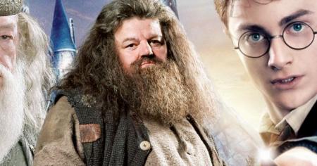 Harry Potter : HBO a trouvé son Dumbledore et son Hagrid