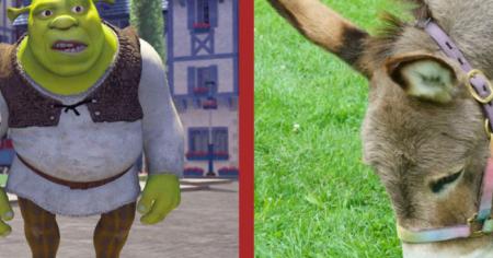 Shrek : l'âne qui a servi de modèle au film est mort, les fans lui rendent hommage