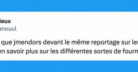 Top 15 des tweets les plus drôles de la semaine #506