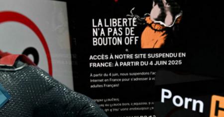 Pornhub et YouPorn bloqués en France, voici les grands gagnants