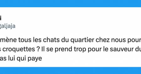 Top 15 des tweets les plus drôles de la semaine #520