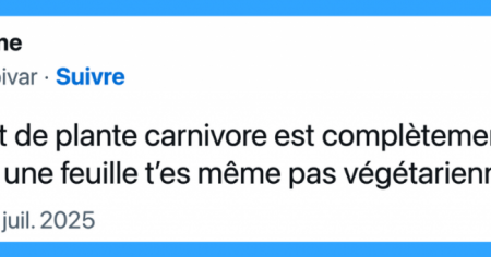 Top 15 des tweets les plus drôles de la semaine #523
