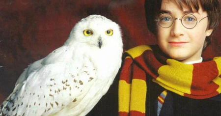 Harry Potter : cette réplique de Hedwige est splendide