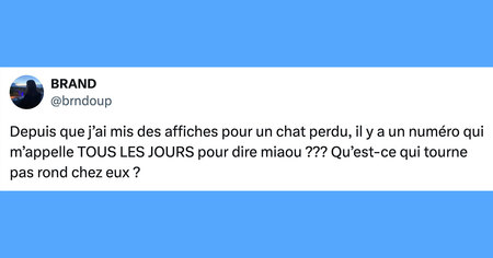 Top 15 des tweets les plus drôles de la semaine #479