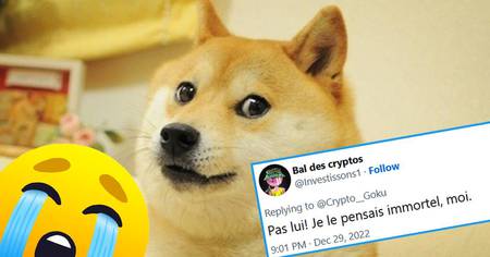 Doge : le chien du célèbre meme est mourant, les twittos sont en larmes (20 tweets)