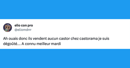 Le top 15 des tweets de la semaine #417