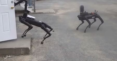 Robotique : la police américaine a utilisé un chien-robot de Boston Dynamics