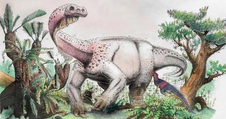 Un nouveau dinosaure considéré comme étant le plus gros animal que la Terre ait connu, pour son époque !