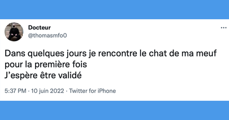 Le top 15 des tweets de la semaine #365