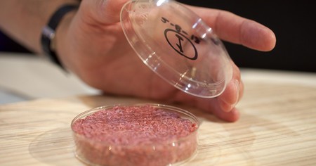 La viande de laboratoire bientôt commercialisée aux Etats-Unis