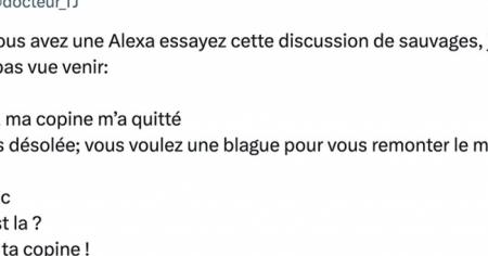 Top 15 des tweets les plus drôles de la semaine #482