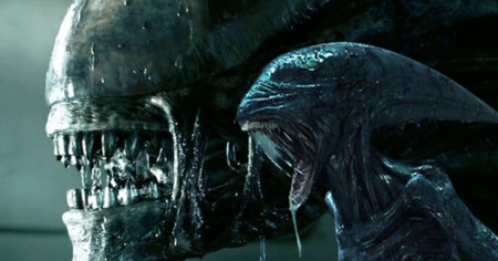 Alien : voici le véritable nom des Xénomorphes