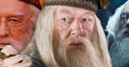 Harry Potter : la série HBO aurait trouvé son Dumbledore