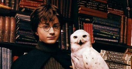 Harry Potter : la réplique de la chouette Hedwige sera parfaite sous le sapin de Noël