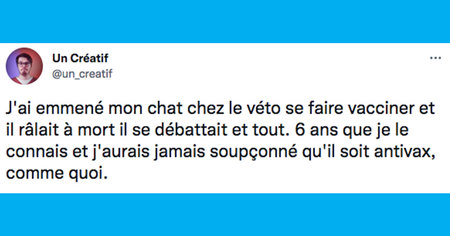 Le top 15 des tweets de la semaine #336