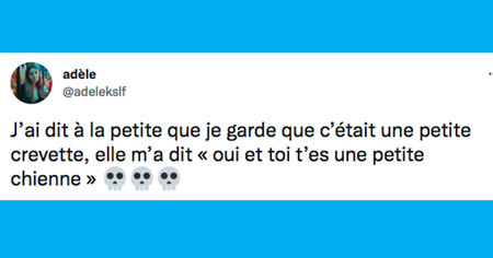 Le top 15 des tweets de la semaine #332