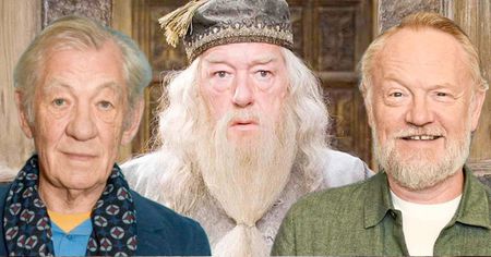 Harry Potter : cet acteur parfait pour Dumbledore refuse de participer à la série HBO