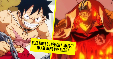 Test de personnalité : quel fruit du démon aurais-tu mangé dans One Piece ?