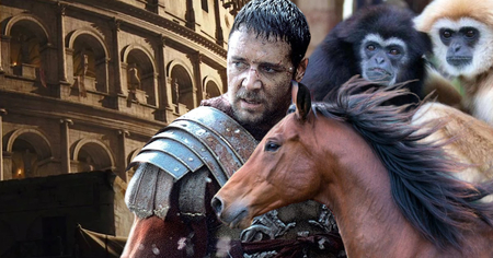 Gladiator 2 : la PETA accuse le film de maltraitance animale