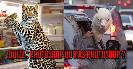 Quizz : ces 20 photos sont photoshopées ou pas photoshopées ?