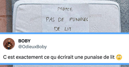 Le top 15 des tweets de la semaine #432