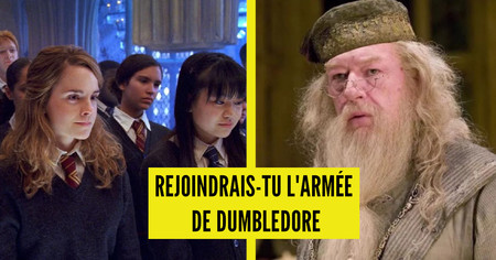 Test de personnalité Harry Potter : mériterais-tu de rejoindre l'Armée de Dumbledore ?