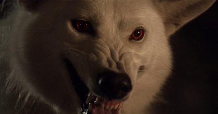 Game of Thrones : une bataille avec des loups géants était prévue