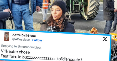 Colère des agriculteurs : Karine le Marchand dézinguée sur X (20 tweets)