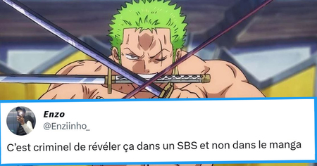 One Piece : les origines de Zoro dévoilées, les fans sont frustrés (10 tweets)