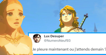 Zelda Tears of the Kingdom : aucun DLC prévu, les joueurs au fond du trou (15 tweets)