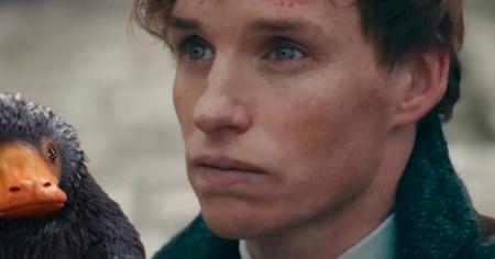 Les Animaux Fantastiques : Eddy Redmayne s'exprime sur le futur de la saga