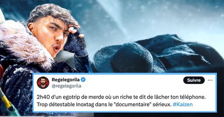 Kaizen : le documentaire d'Inoxtag divise les internautes (20 tweets)