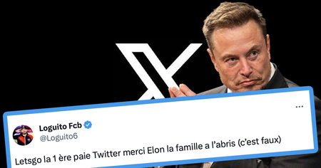 Twitter Blue : les premiers salaires sont tombés, les internautes sidérés (35 tweets)