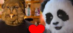 Netflix : bientôt des speed dating entre des castors et des pandas