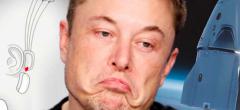 Elon Musk : le milliardaire déclare que 